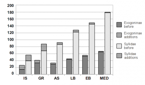 Figure 3 from "An account on the taxonomy and distribution of Syllidae in the Eastern Mediterranean"